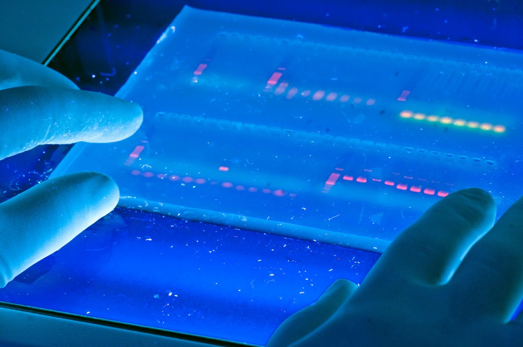 Image by University of Michigan on Flickr. https://www.flickr.com/photos/snre/6946913993