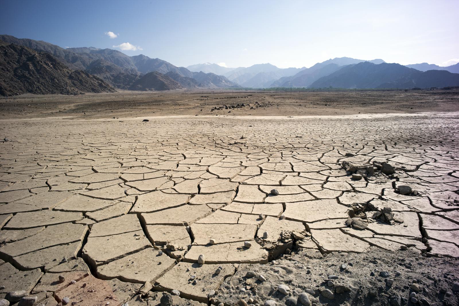 Poverty and famines an essay
