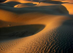 What were the causes of the famine in the Thar Desert region of Pakistan, and what are the food, water and health policy options for tackling devastating famine.