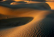 What were the causes of the famine in the Thar Desert region of Pakistan, and what are the food, water and health policy options for tackling devastating famine.