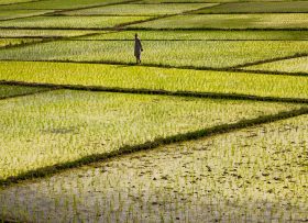 Is India's groundwater crisis a crisis of environment or a crisis of policy